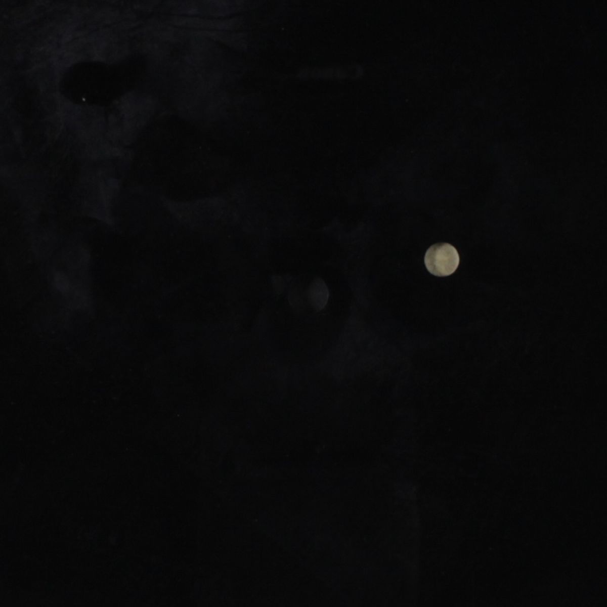 let us care / blank by UNKNOWN ARTIST