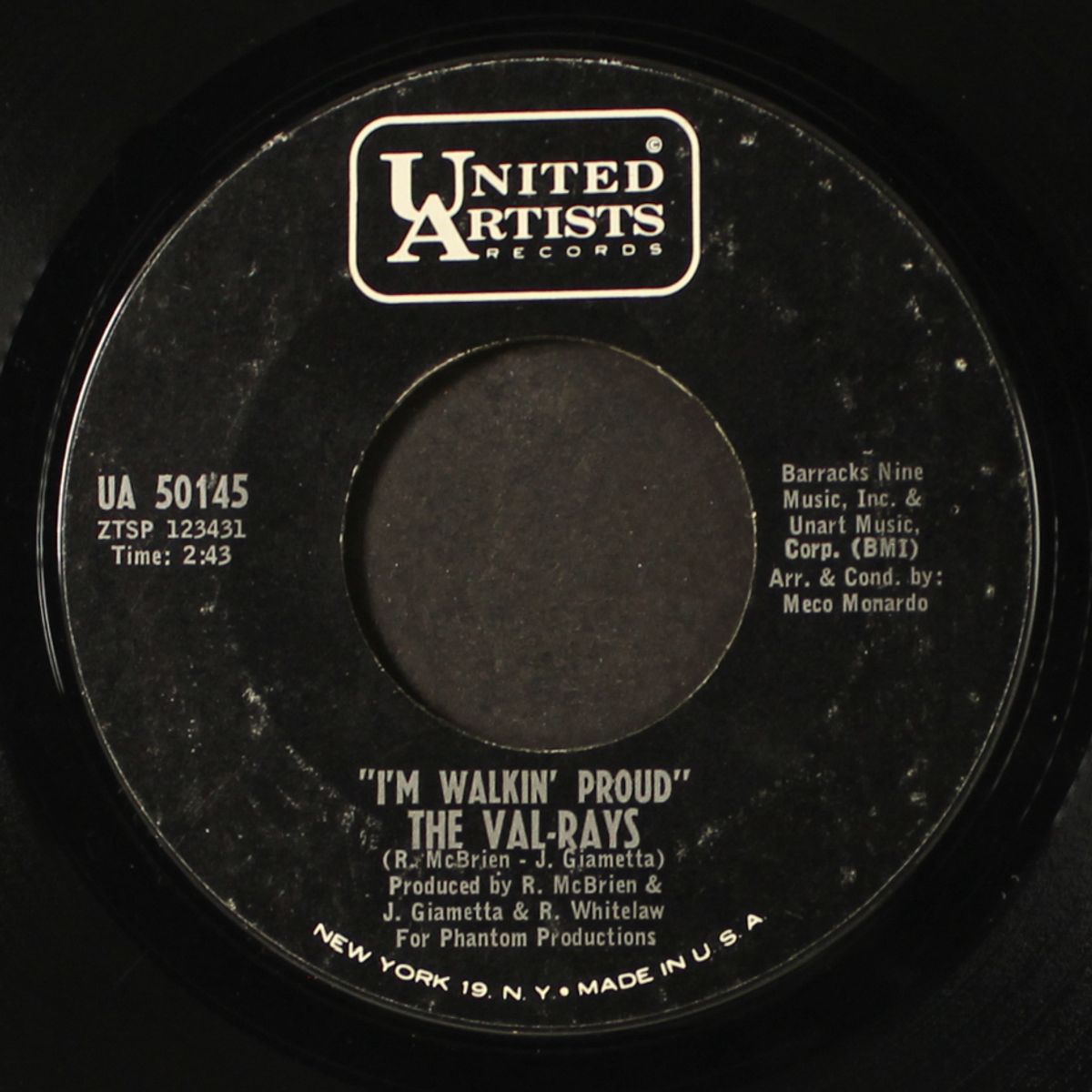 it hurts doesn't it girl / i'm walkin' proud by VAL-RAYS