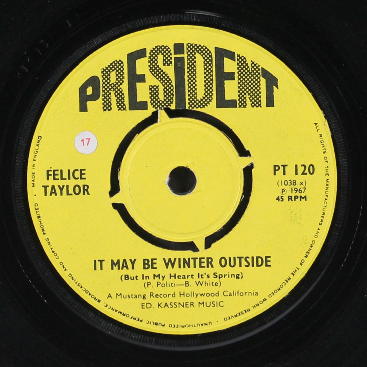 it may be winter outside by FELICE TAYLOR