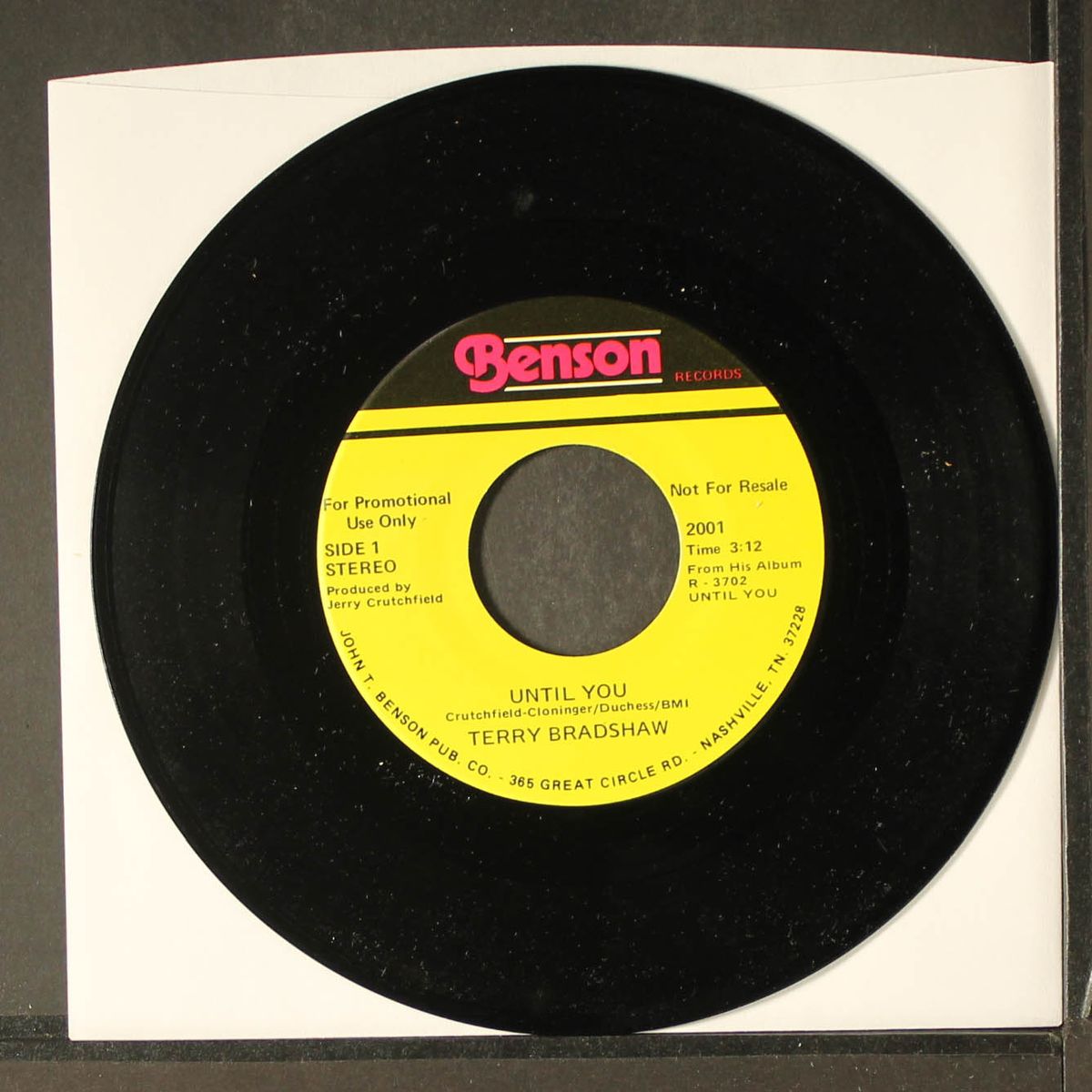 until you / dimestore jesus by TERRY BRADSHAW