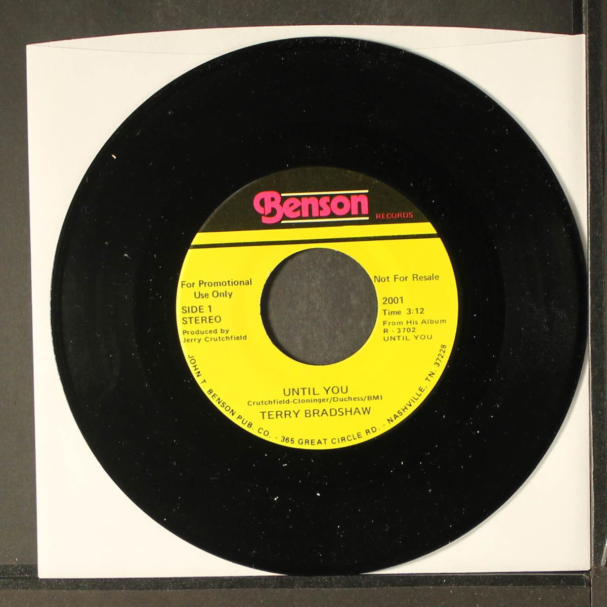 until you / dimestore jesus by TERRY BRADSHAW