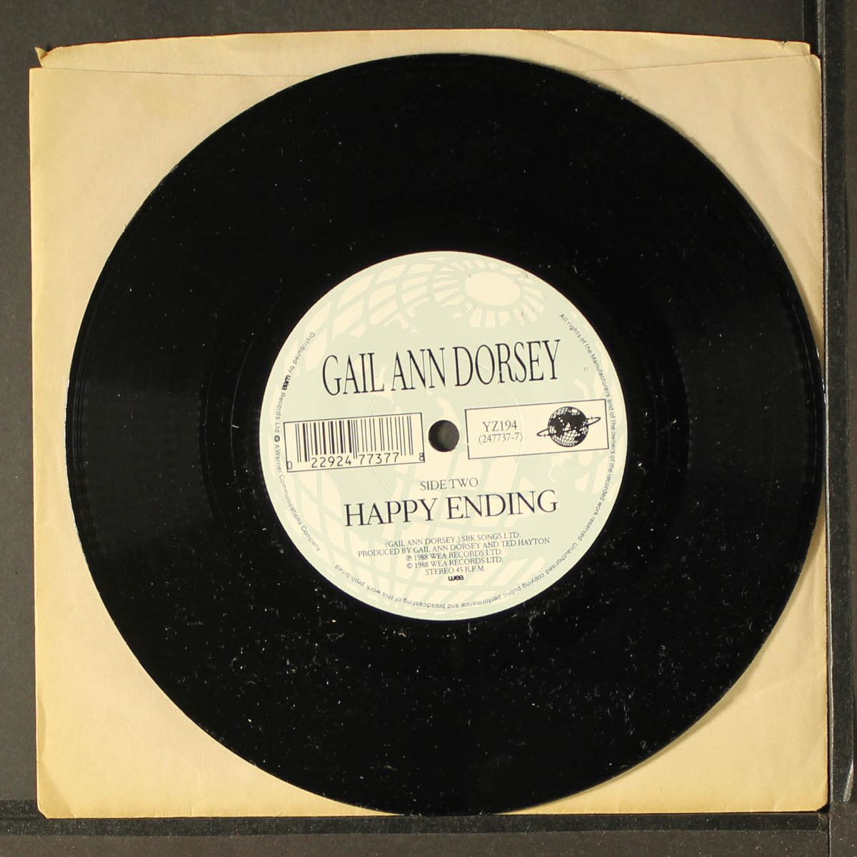 wasted country by GAIL ANN DORSEY