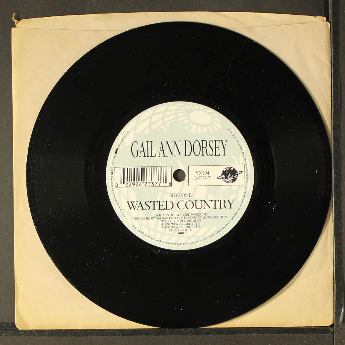 wasted country by GAIL ANN DORSEY
