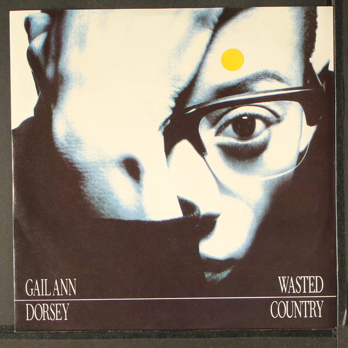 wasted country by GAIL ANN DORSEY