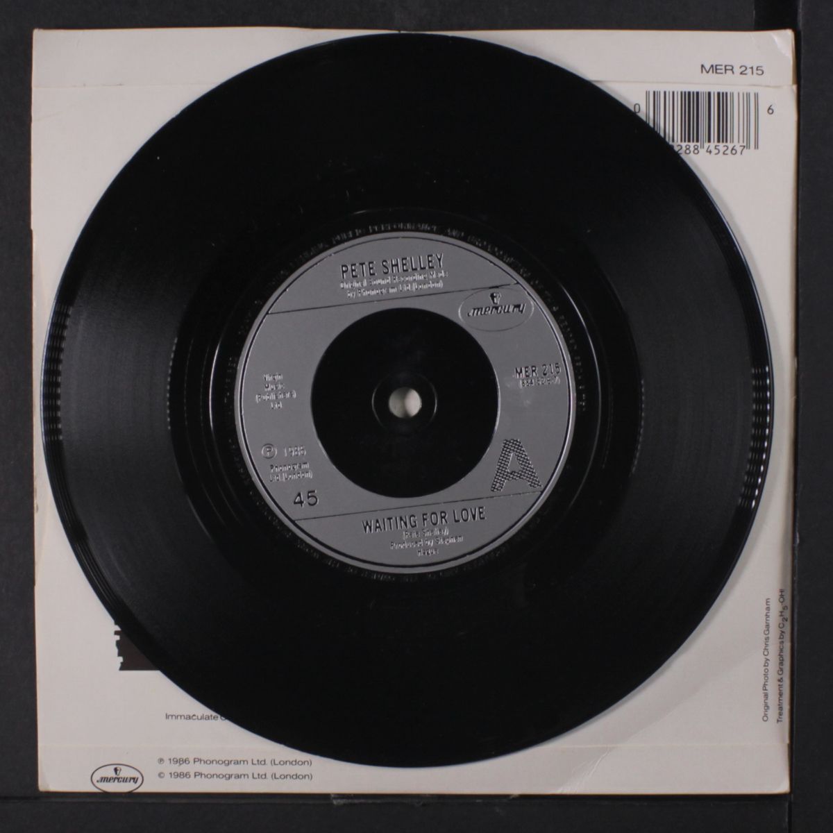 waiting for love by PETE SHELLEY