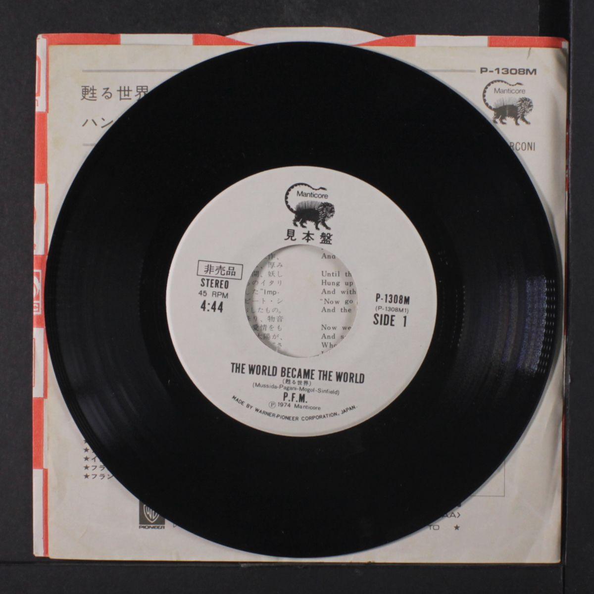 the world became the world / la corozza di hanz by P.F.M.