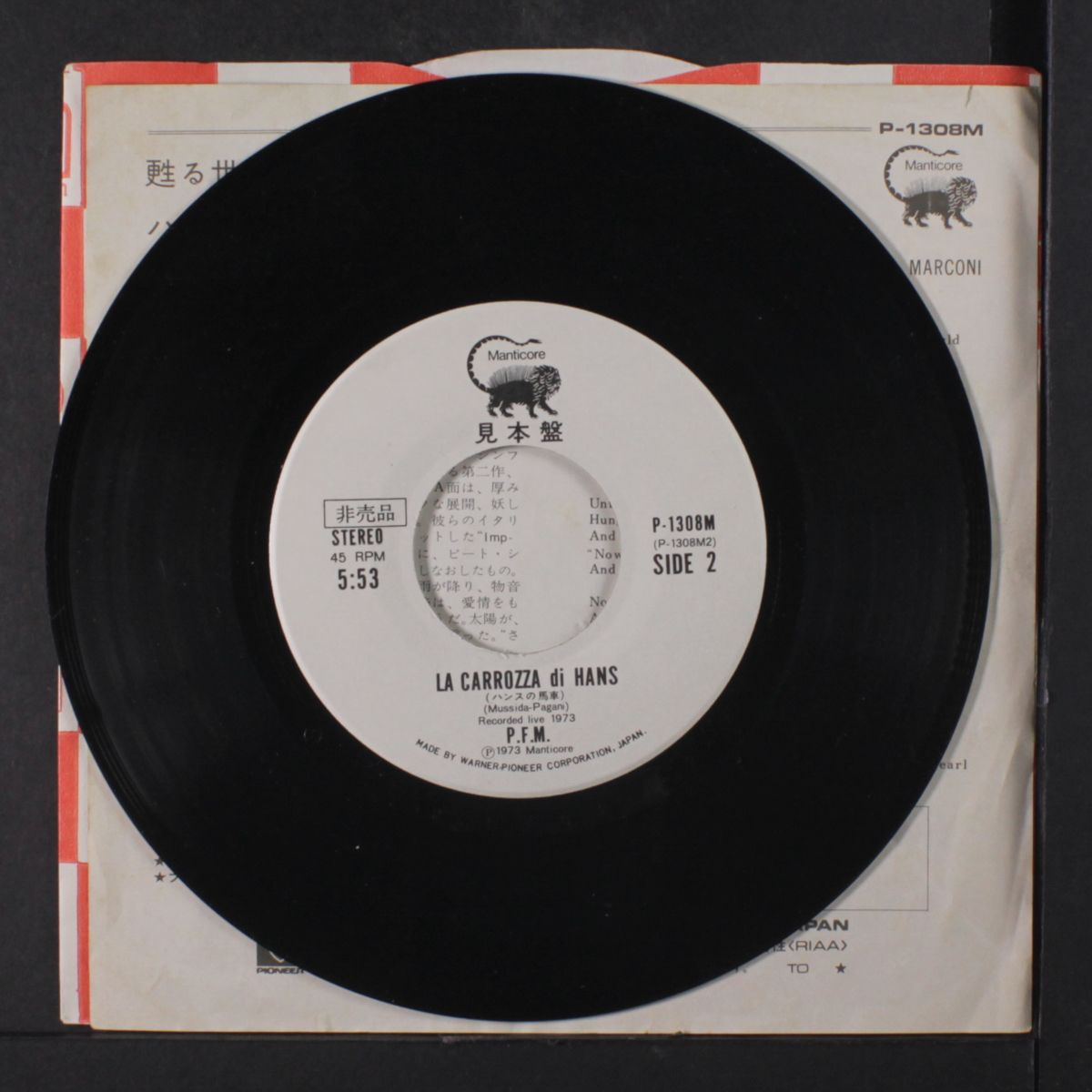 the world became the world / la corozza di hanz by P.F.M.