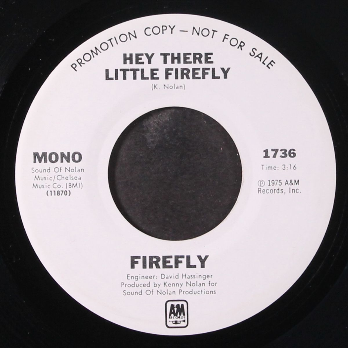 hey there little firefly by FIREFLY
