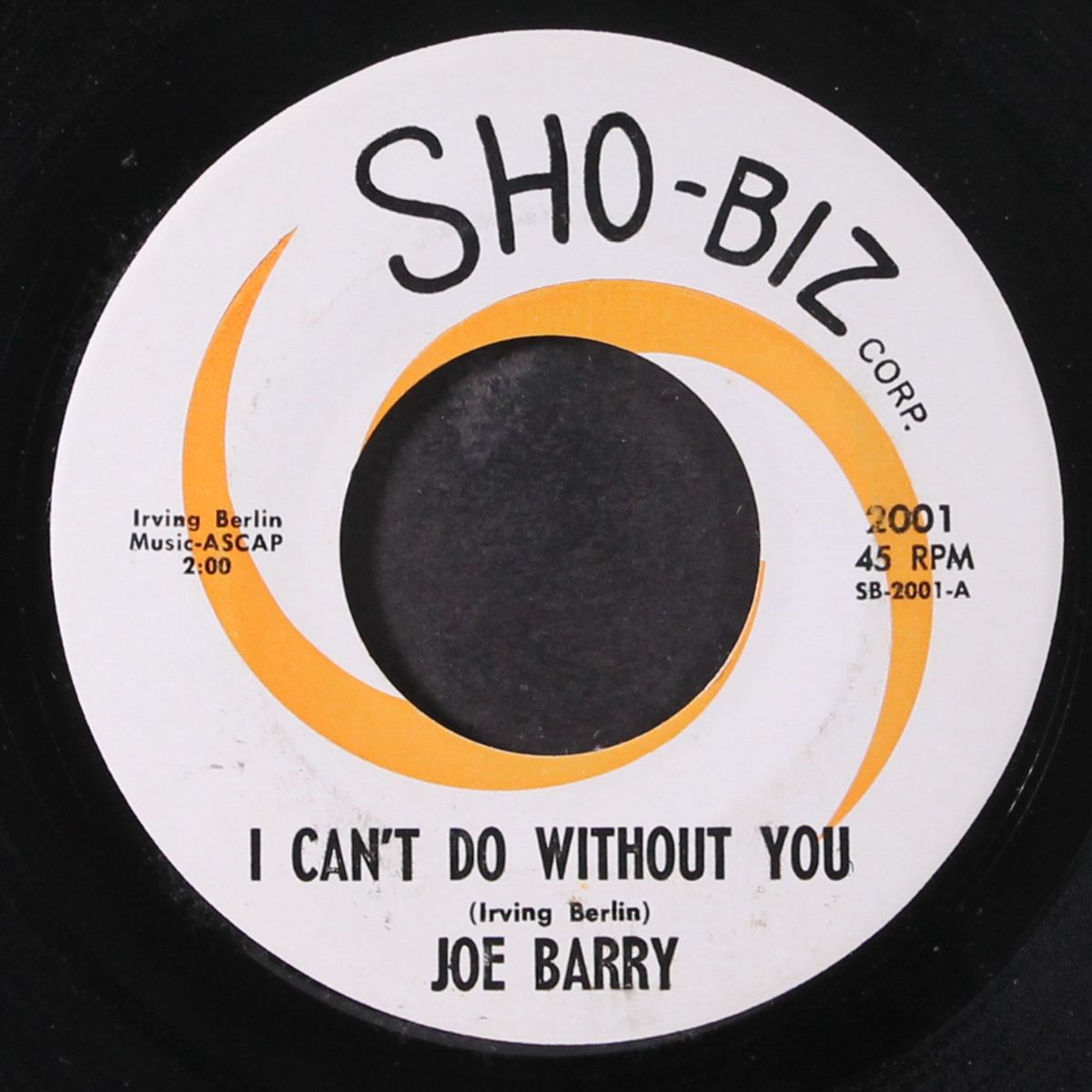i can't do without you by JOE BARRY