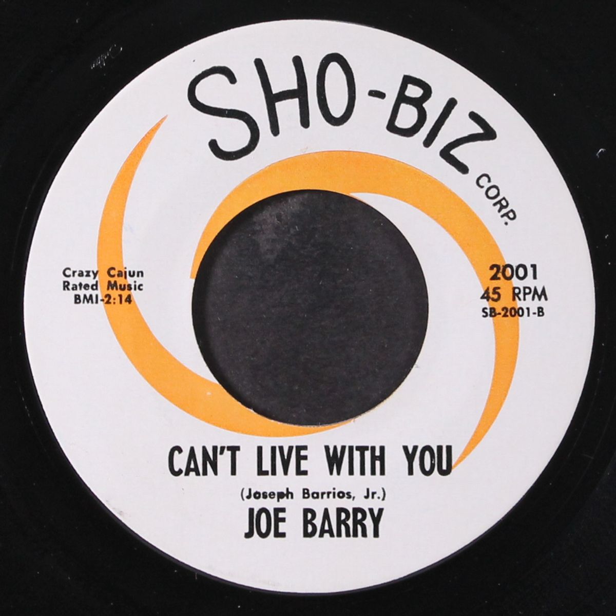 i can't do without you by JOE BARRY