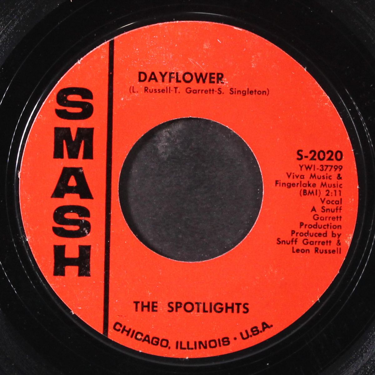 batman and robin / dayflower by SPOTLIGHTS