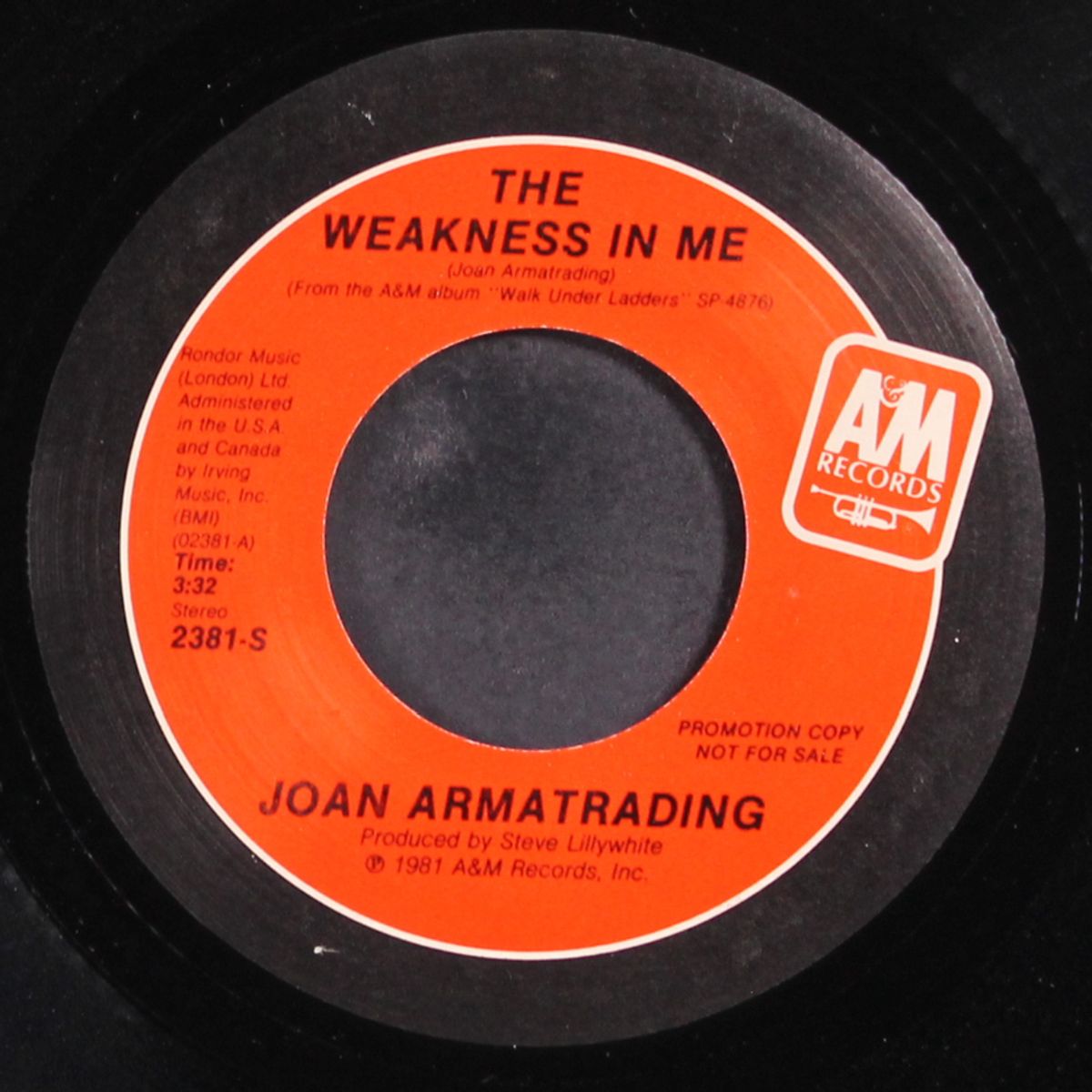 the weakness in me by JOAN ARMATRADING