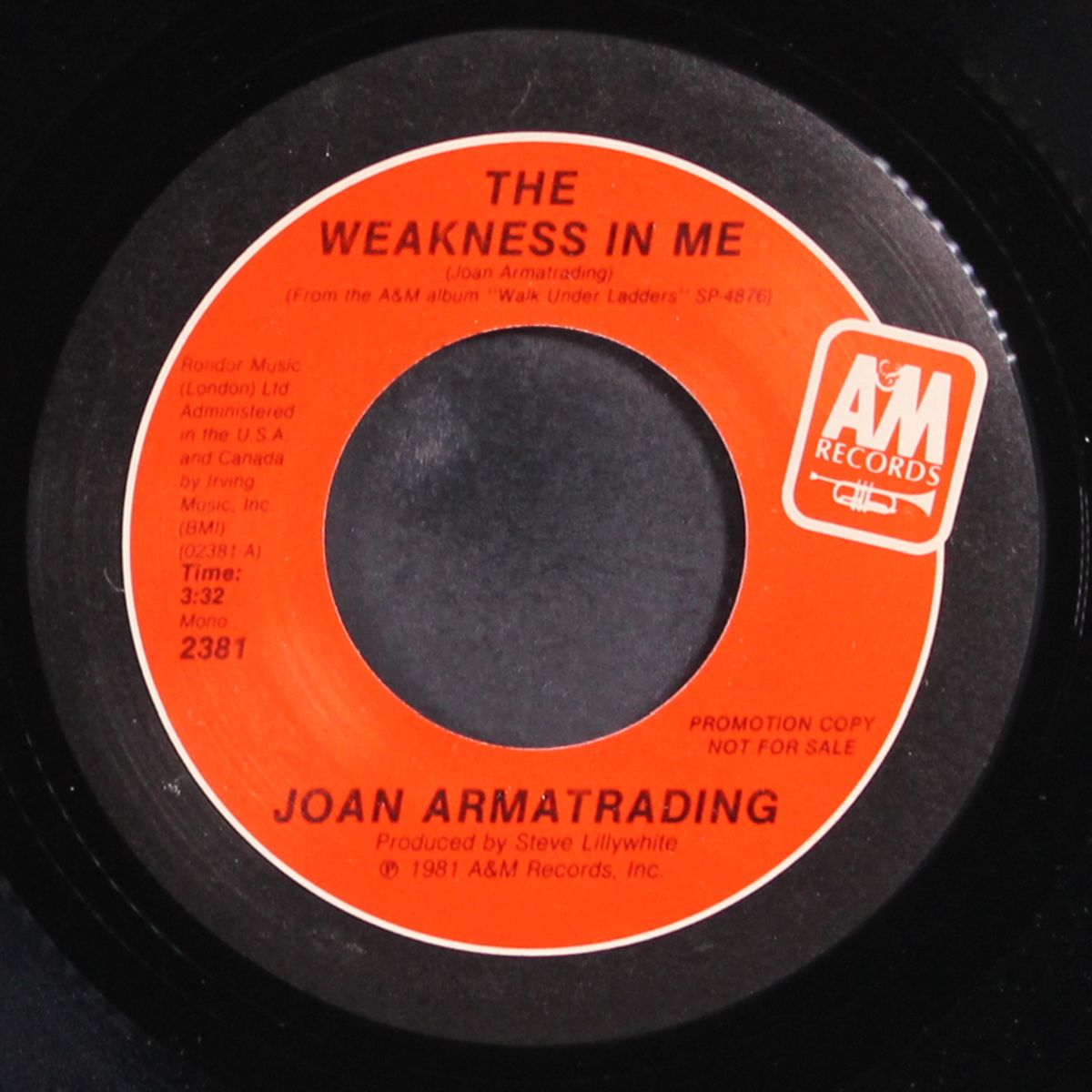 the weakness in me by JOAN ARMATRADING