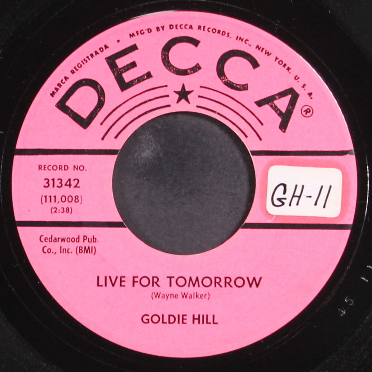 live for tomorrow by GOLDIE HILL