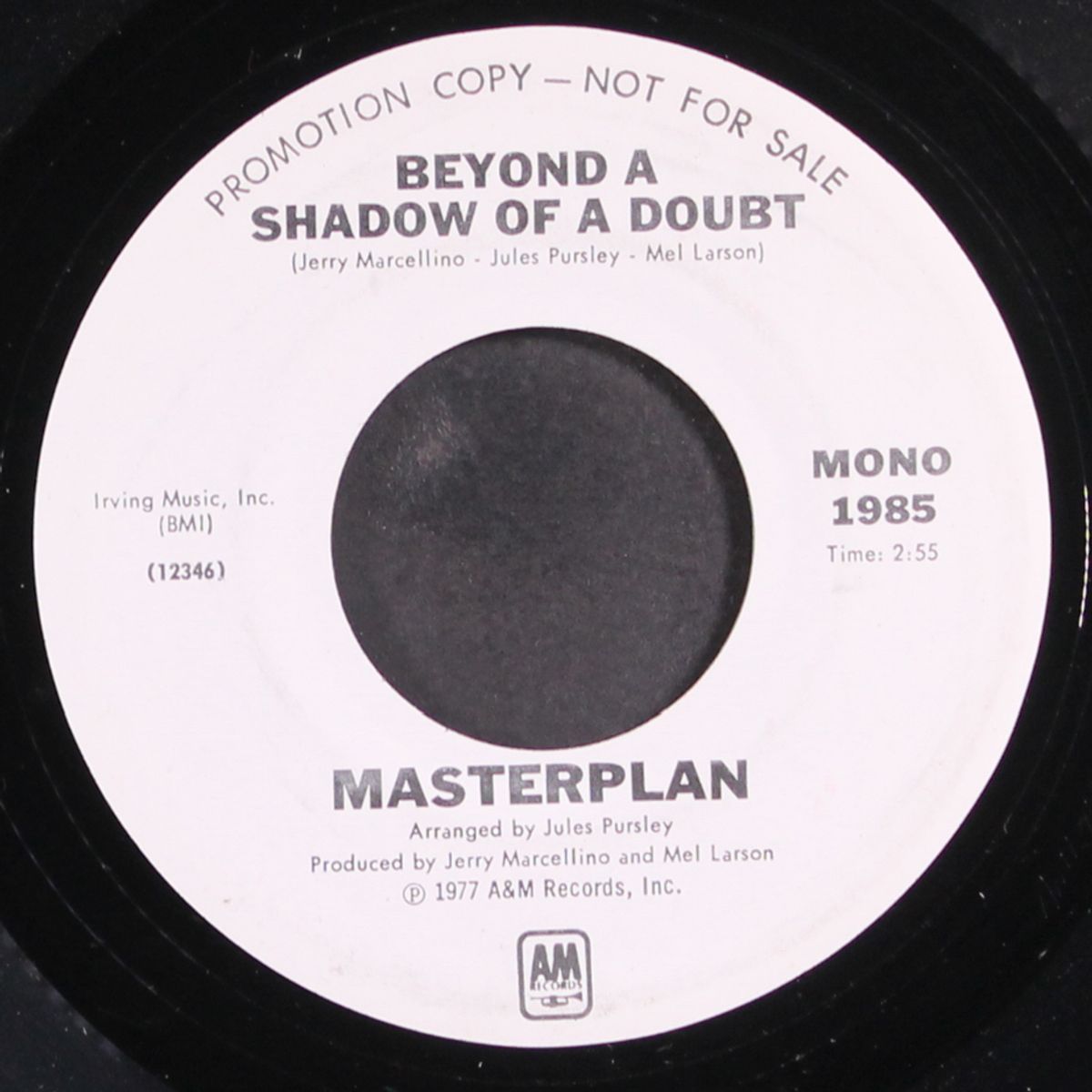 beyond a shadow of a doubt / mono by MASTERPLAN