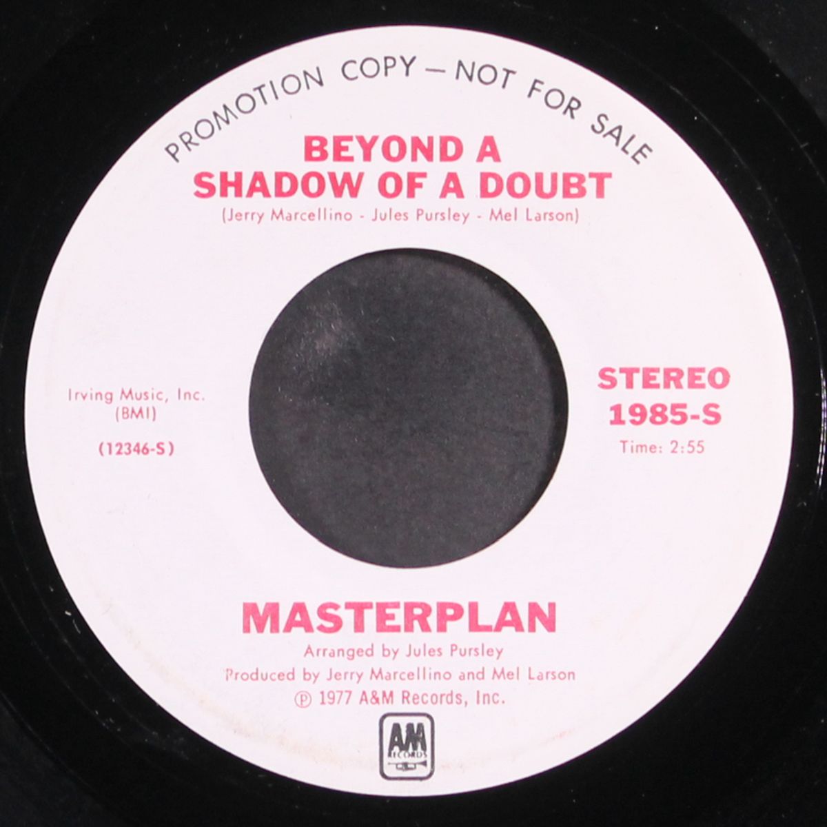 beyond a shadow of a doubt / mono by MASTERPLAN