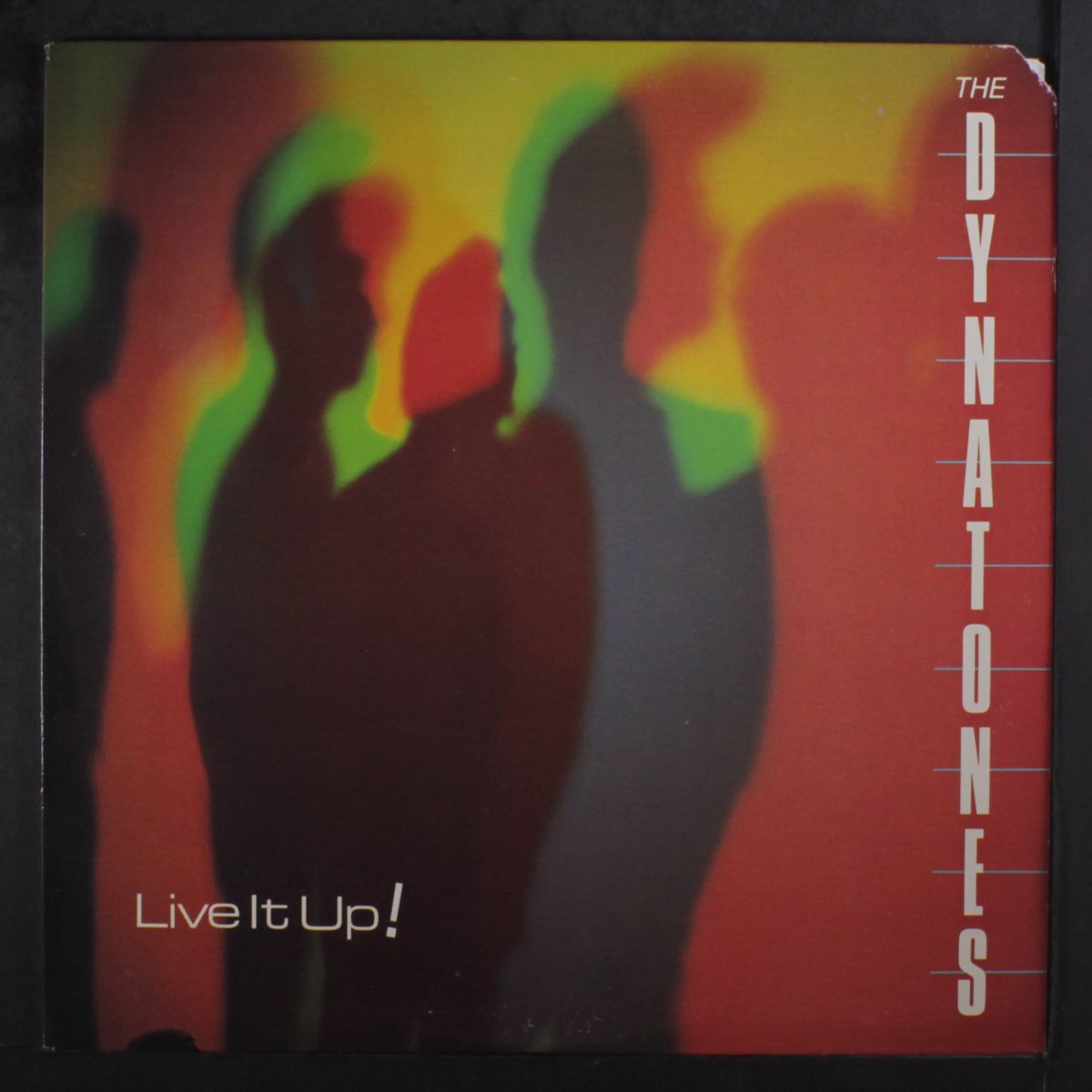 live it up by DYNATONES