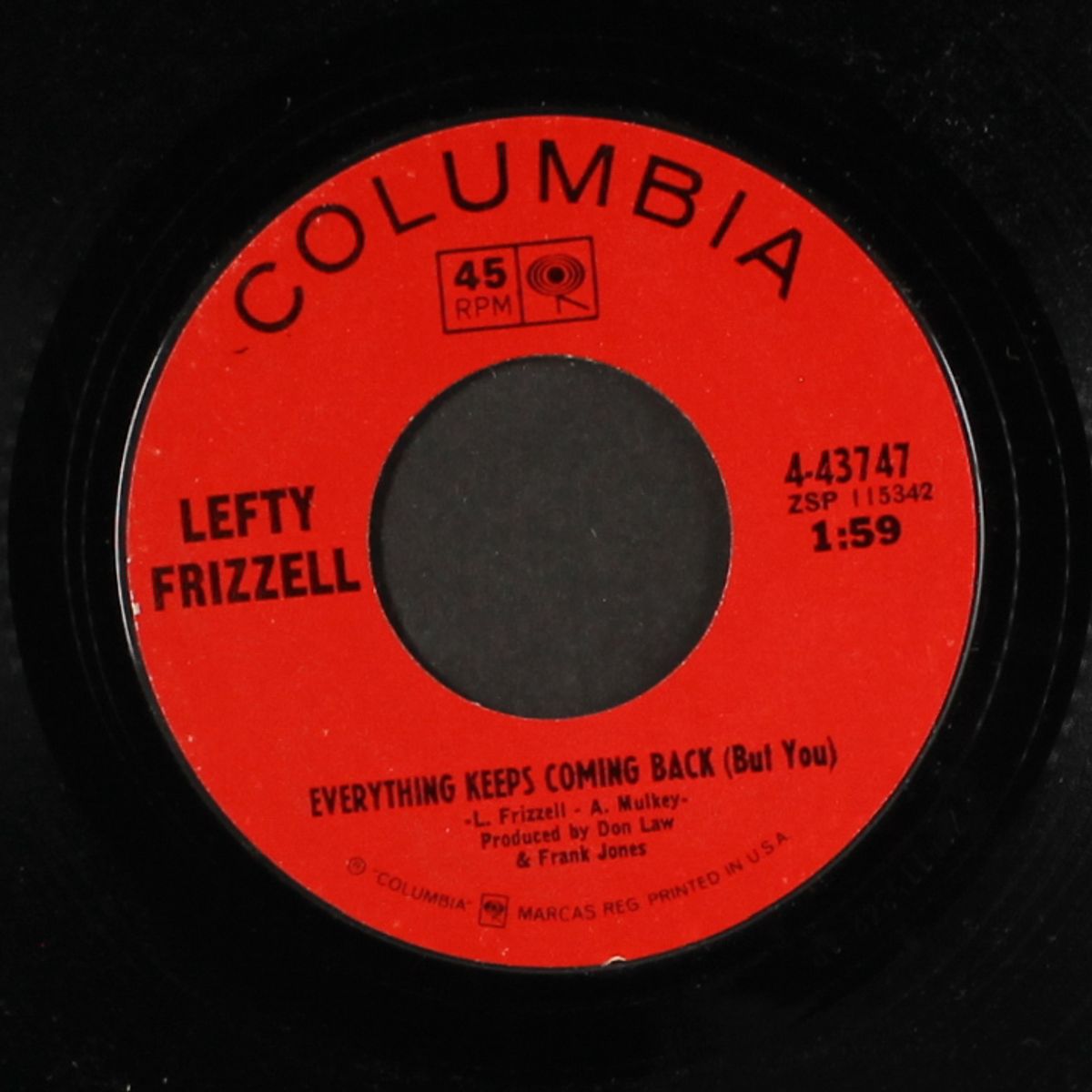 i just couldn't see the forest by LEFTY FRIZZELL