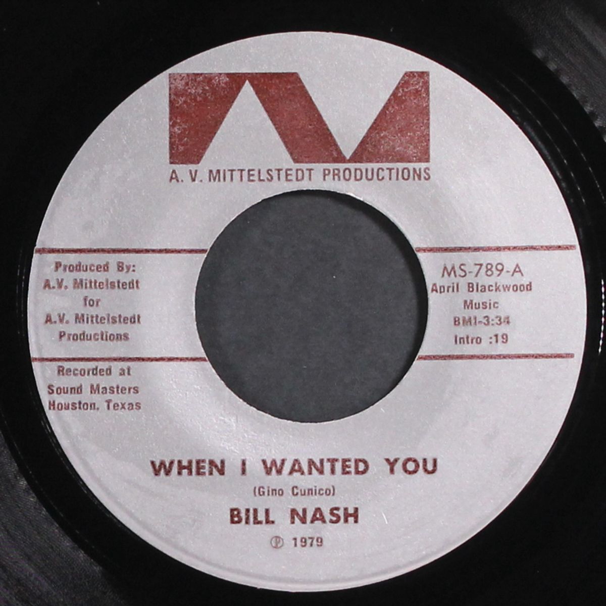 when i wanted you by BILL NASH