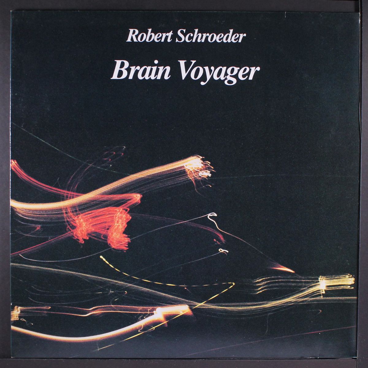 brain voyager by ROBERT SCHROEDER