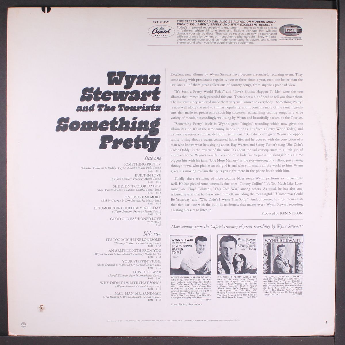 something pretty by WYNN STEWART