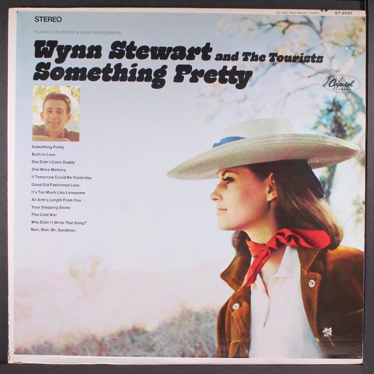 something pretty by WYNN STEWART