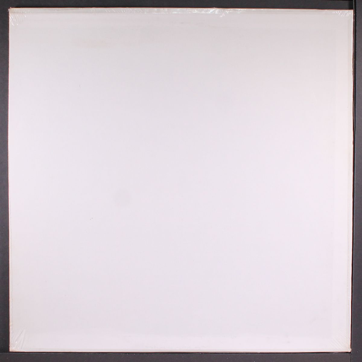 sampler by EL COCO / LE PAMPLEMOUSSE