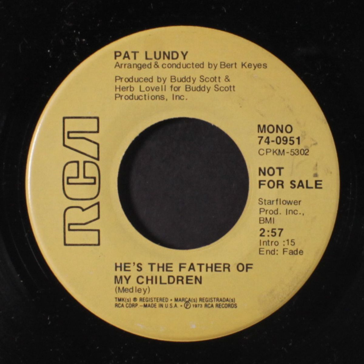 he's the father of my children / mono by PAT LUNDY