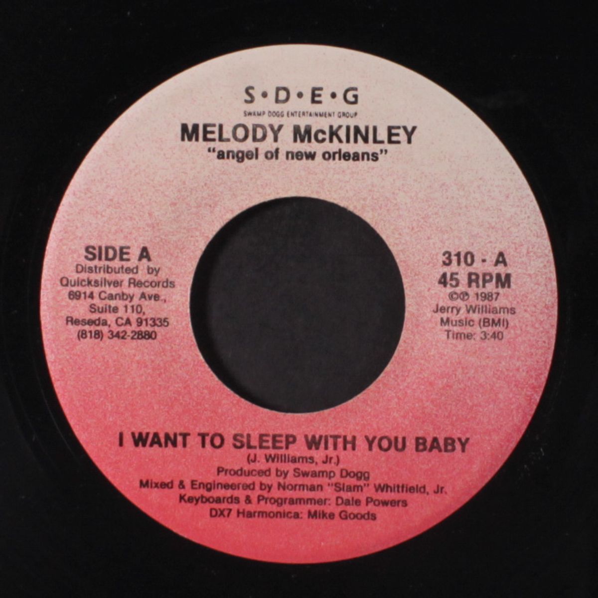 i want to sleep with you baby / melody #27 by MELODY MCKINLEY
