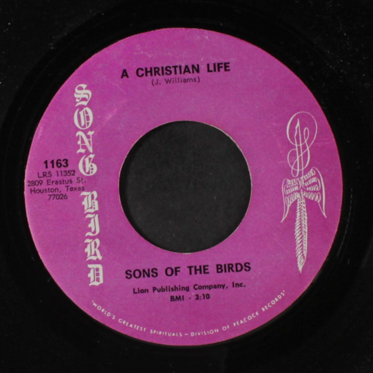 christian life / born again by SONS OF THE BIRDS