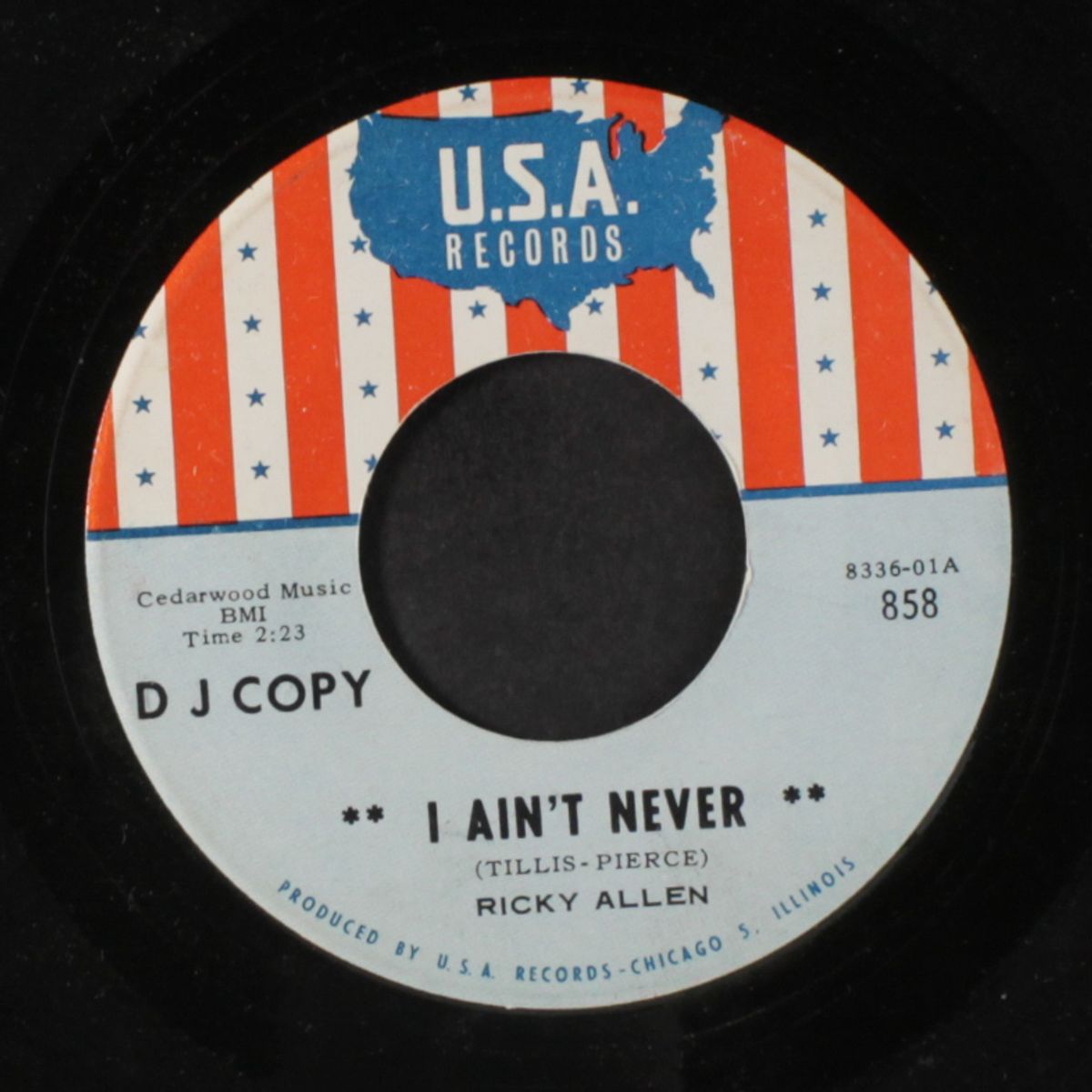 i ain't never by RICKY ALLEN
