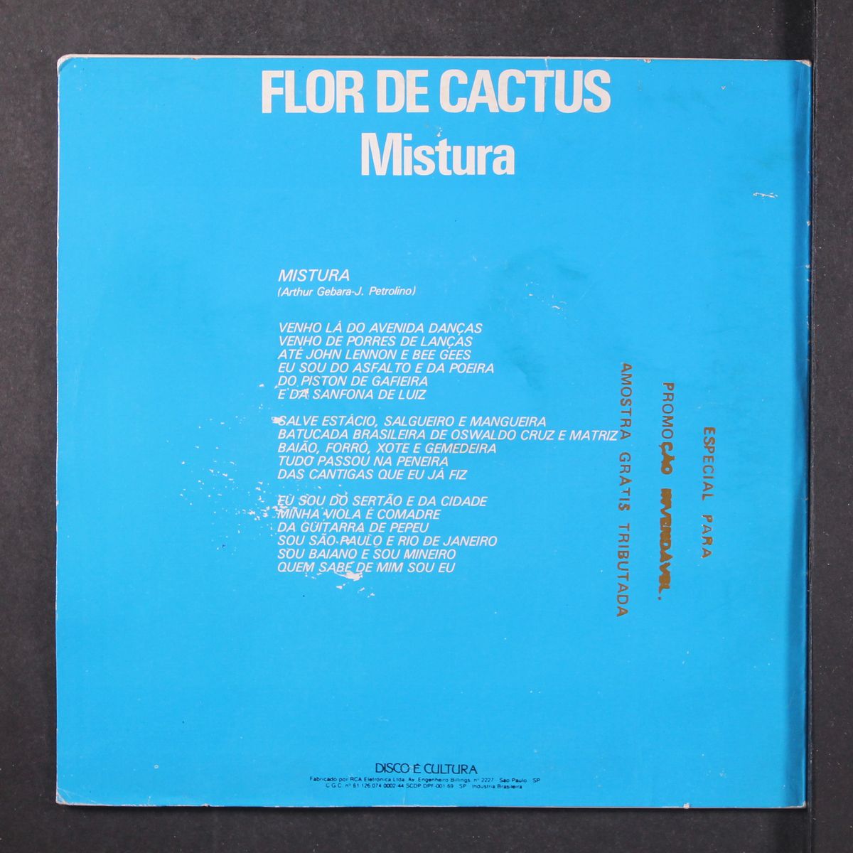 mistura / musica by FLOR DE CACTUS
