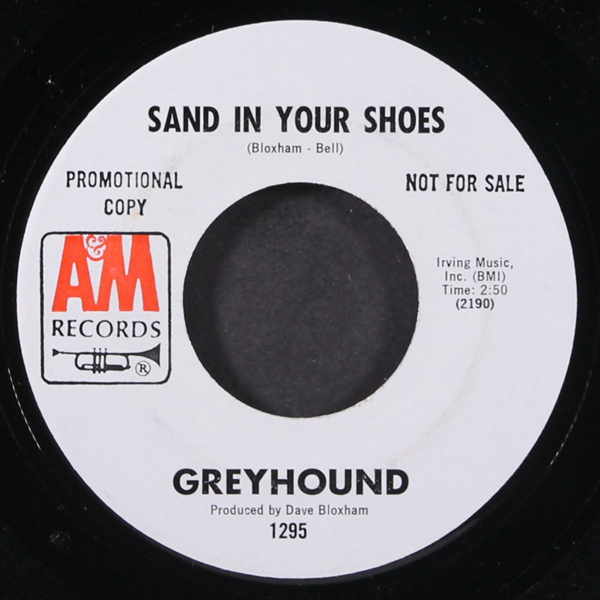 black and white / sand in your shoes by GREYHOUND