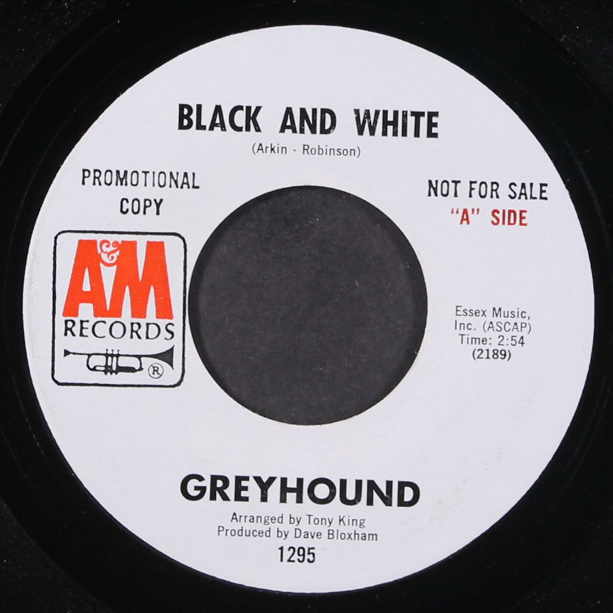 black and white / sand in your shoes by GREYHOUND