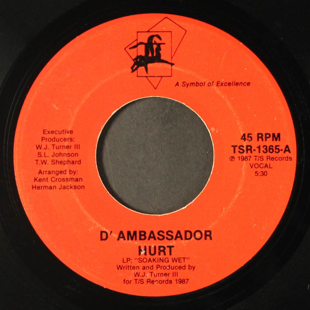 hurt / instro by D'AMBASSADOR