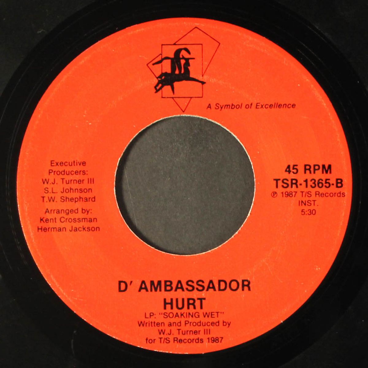 hurt / instro by D'AMBASSADOR