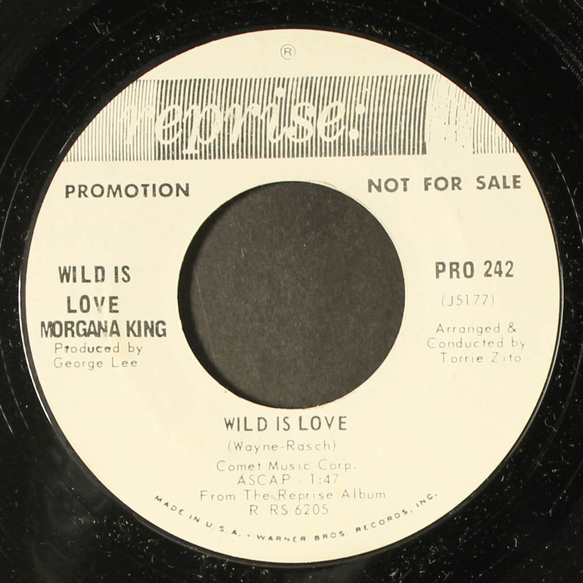 wild is love / bee bom by MORGANA KING