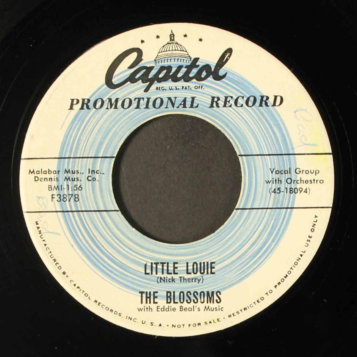 little louie / have faith in me by BLOSSOMS