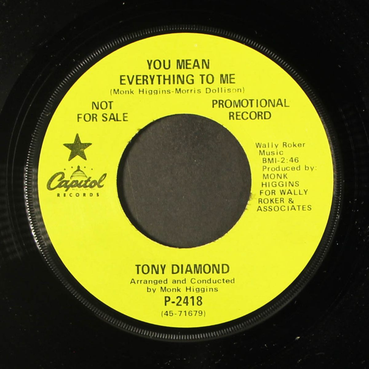 i don't want to lose you / you mean everything to me by TONY DIAMOND