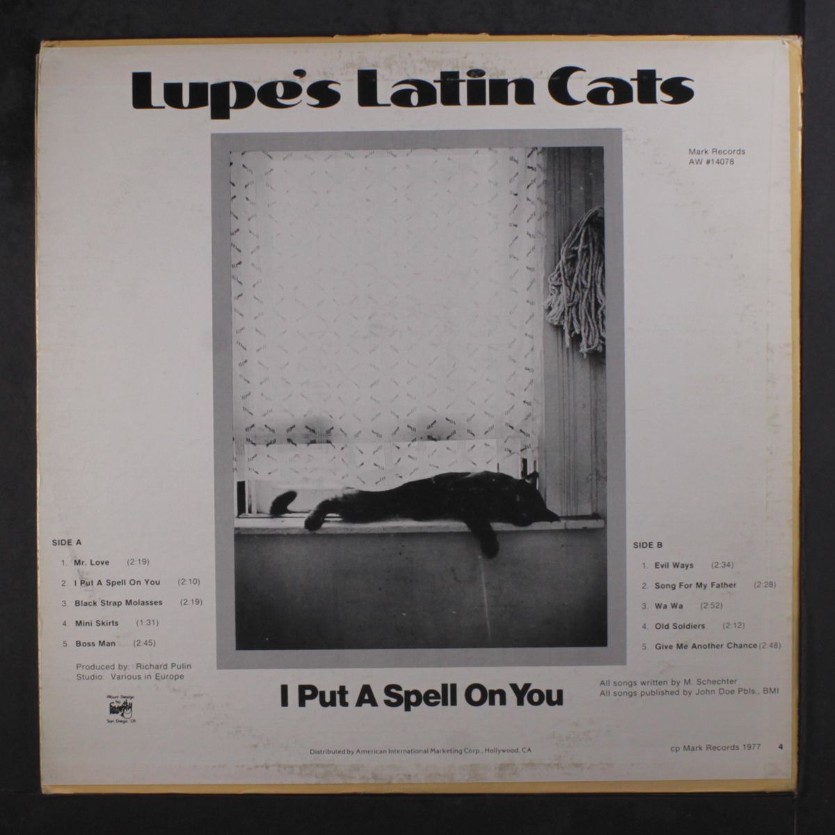 i put a spell on you by LUPE'S LATIN CATS