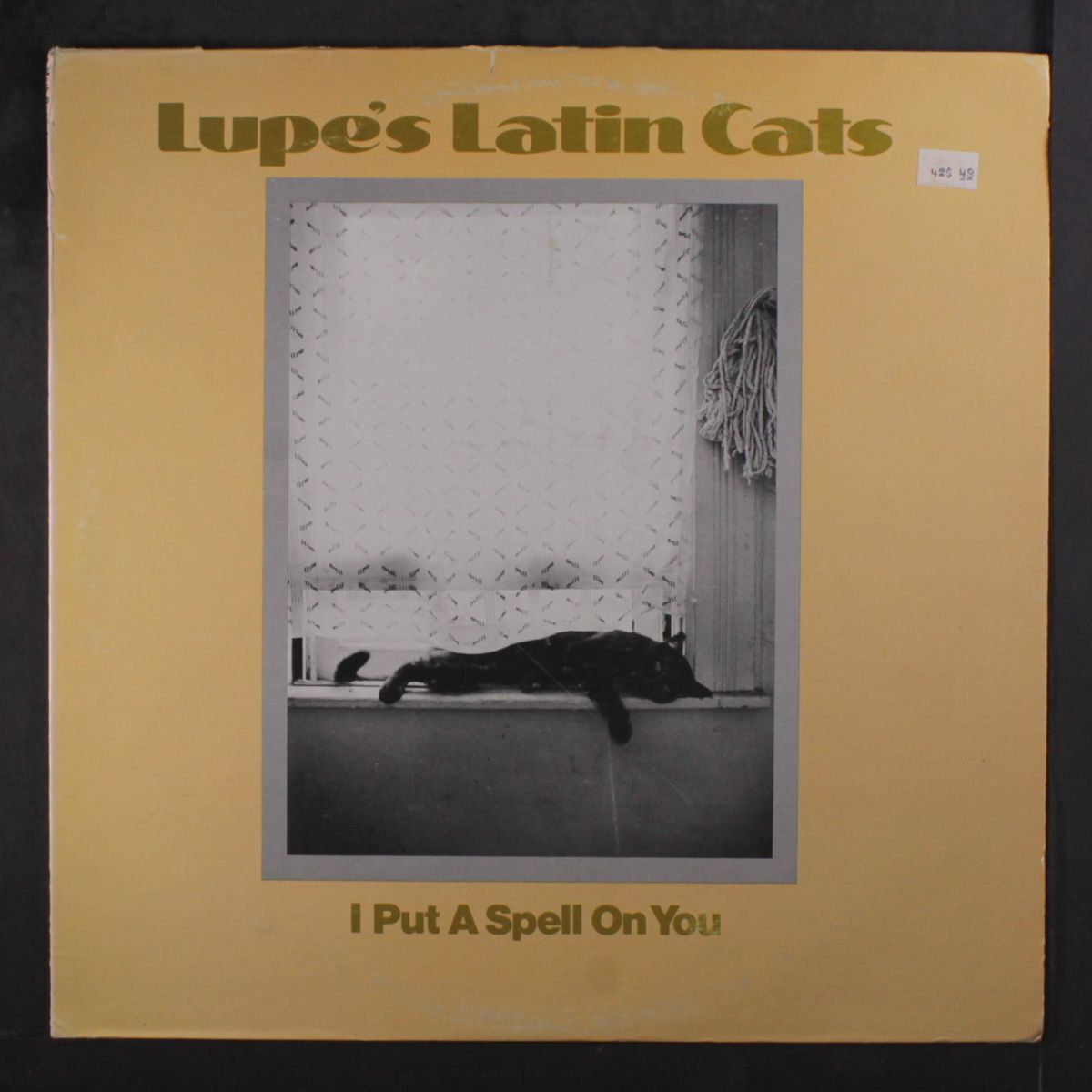 i put a spell on you by LUPE'S LATIN CATS
