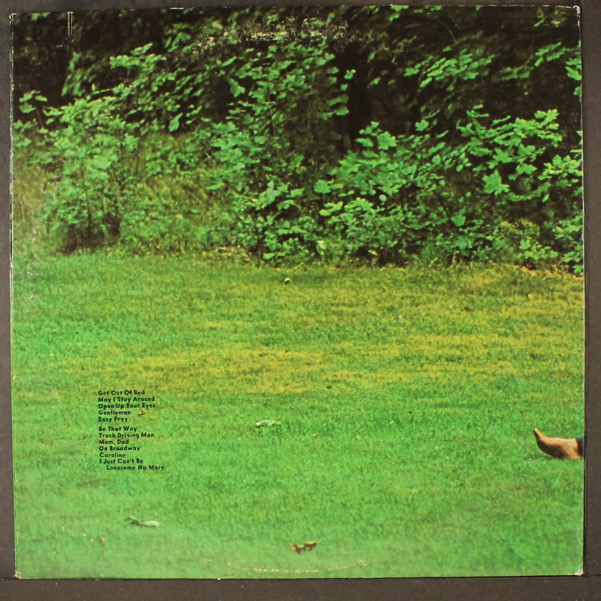 liv by LIVINGSTON TAYLOR