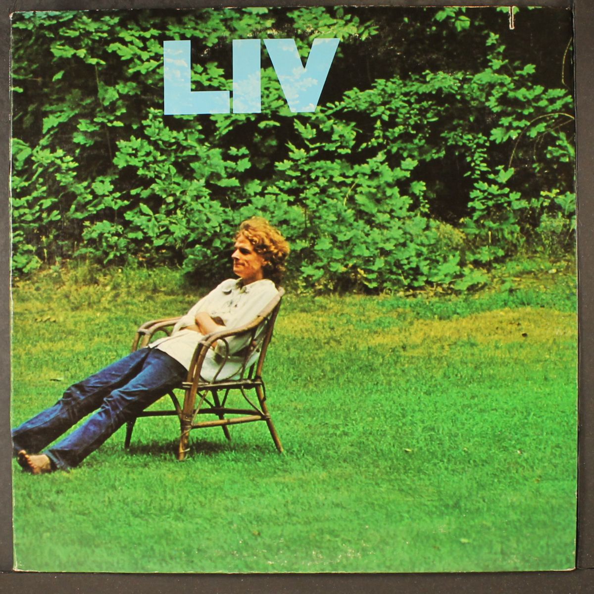 liv by LIVINGSTON TAYLOR