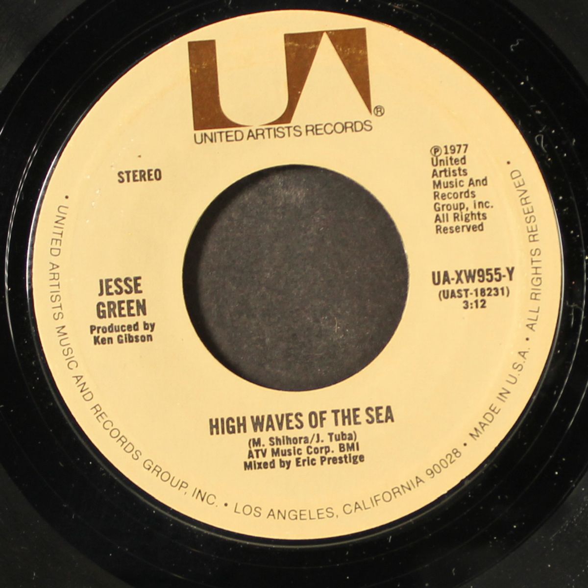 flip / high waves of the sea by JESSE GREEN