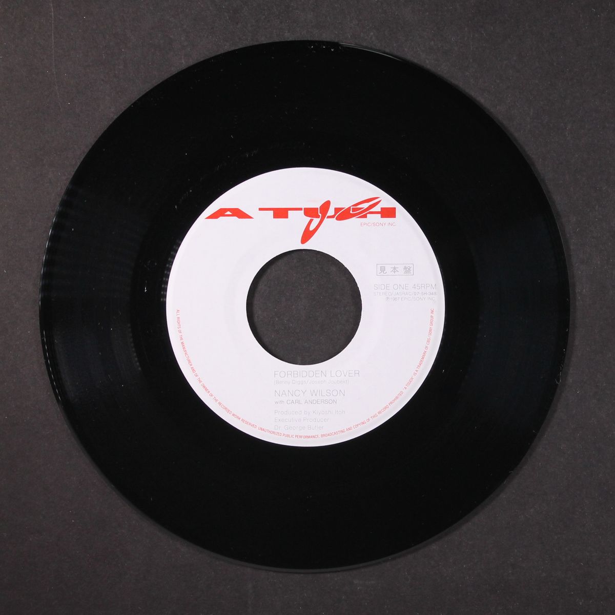 forbidden lover by NANCY WILSON