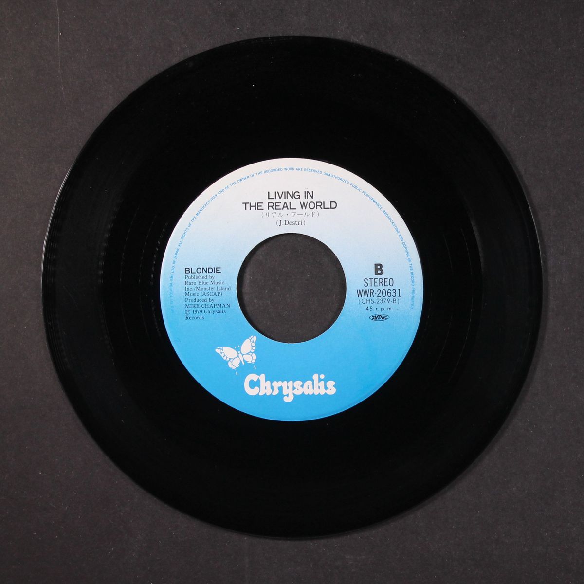 dreaming / living in the real world by BLONDIE