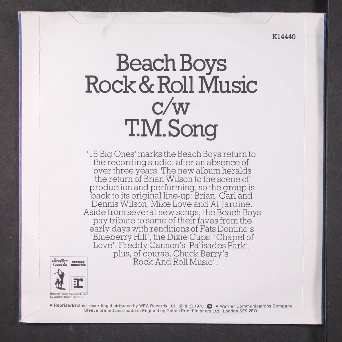 rock & roll music / the t m song by BEACH BOYS
