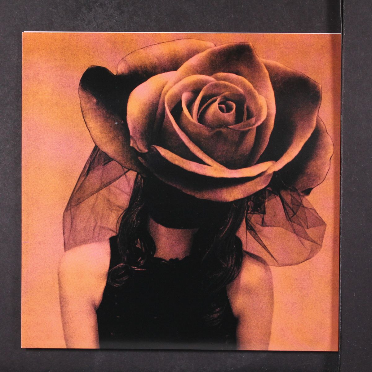 vicious / in trouble with the lord by KAREN ELSON