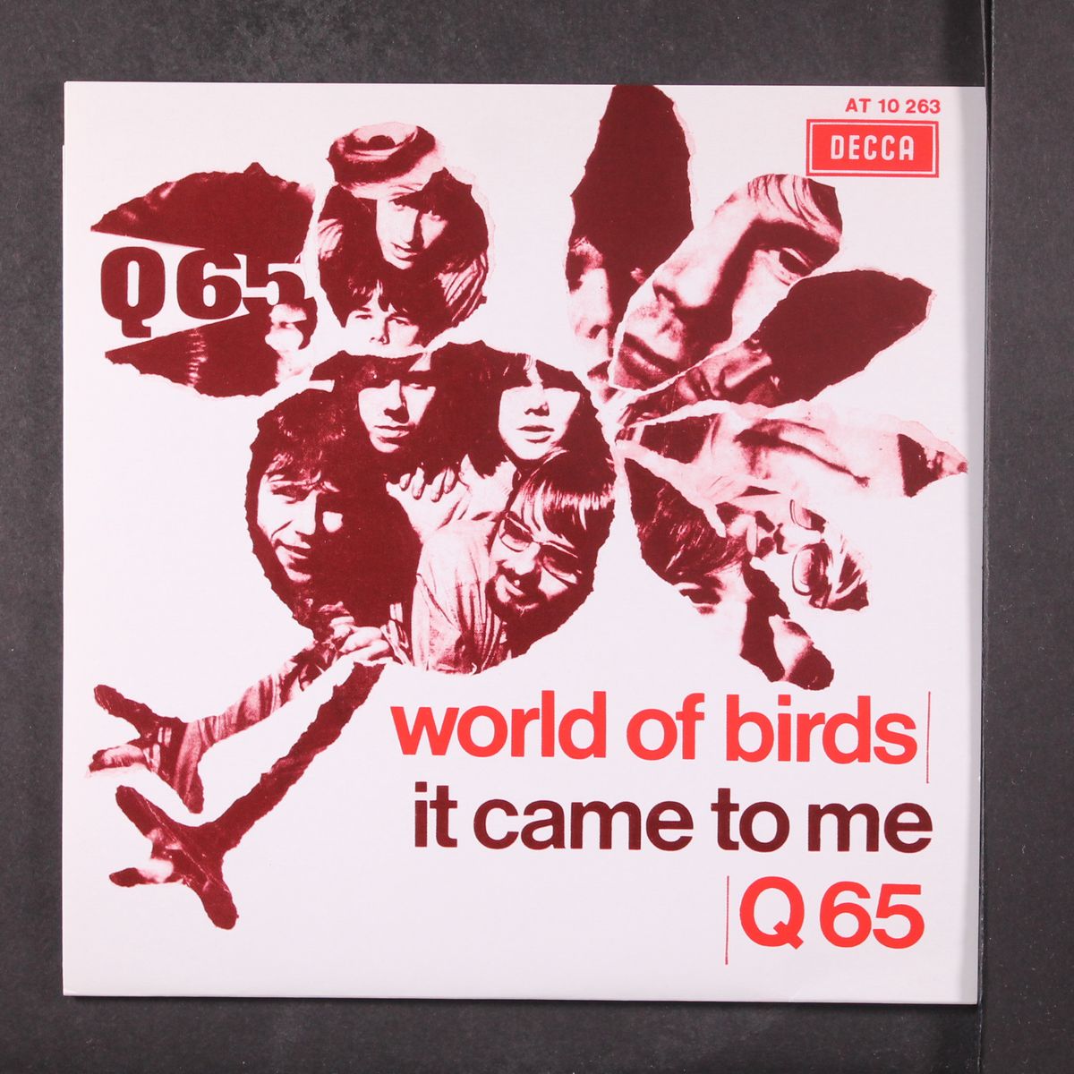 world of birds / it came to me by Q65