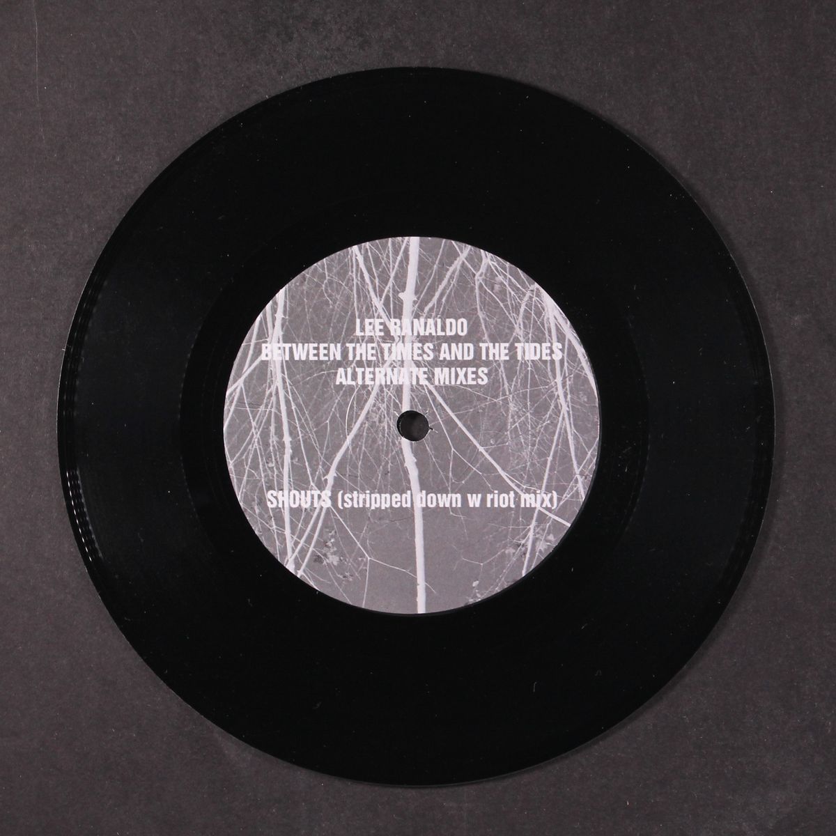 between the times and the tides alternate mixes by LEE RANALDO